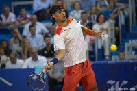 atp-250-umag-2013-final-robredo-vs-fognini-60-63-17.jpg