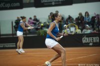 9-febbraio-129-fedcup-2013.jpg