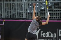 9-febbraio-19-fedcup-2013.jpg