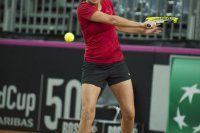 8-febbraio-1-fedcup-2013.jpg