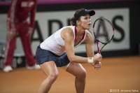 8-febbraio-104-fedcup-2013.jpg