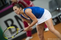 8-febbraio-118-fedcup-2013.jpg