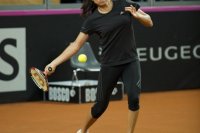 8-febbraio-14-fedcup-2013.jpg