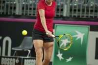 8-febbraio-2-fedcup-2013.jpg