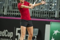 8-febbraio-5-fedcup-2013.jpg