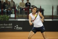 8-febbraio-54-fedcup-2013.jpg