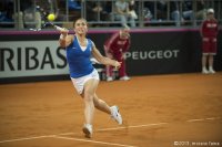 8-febbraio-56-fedcup-2013.jpg