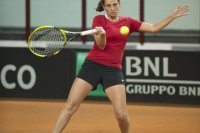 8-febbraio-8-fedcup-2013.jpg