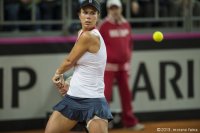 8-febbraio-89-fedcup-2013.jpg