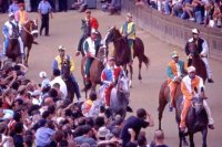 palio-di-siena_010.jpg